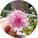 Ljena profile picture